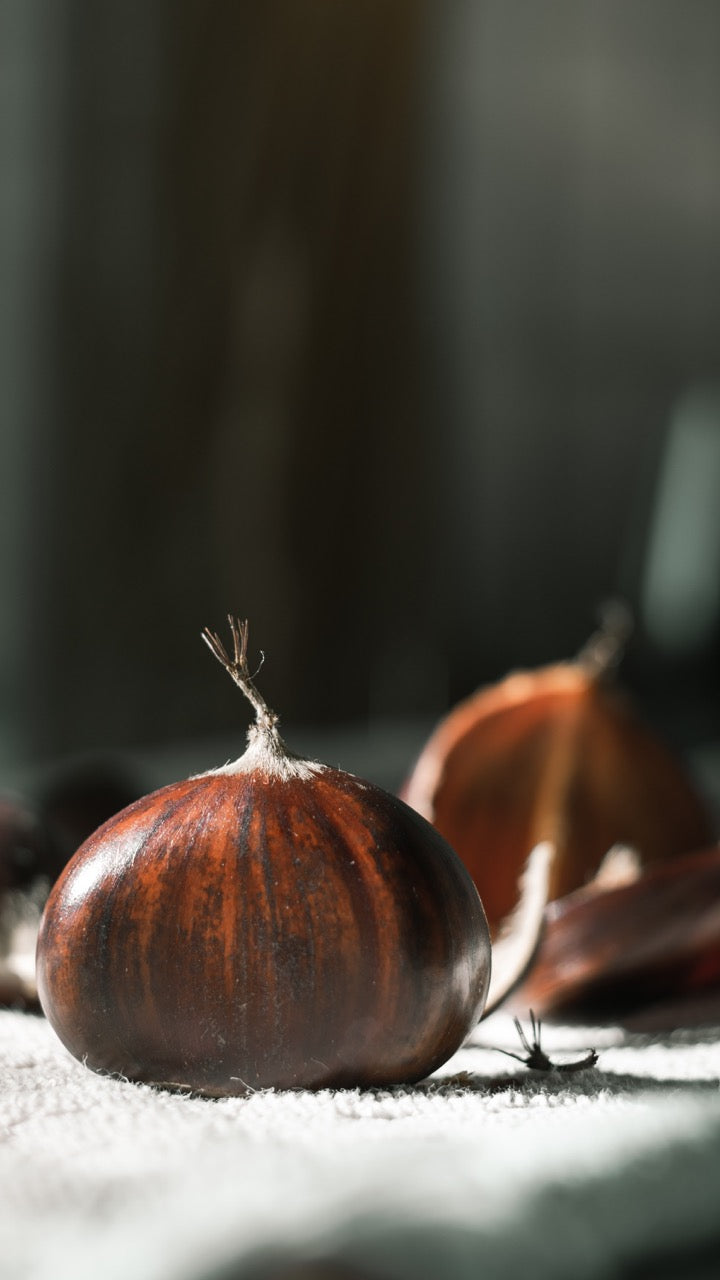 Roasted Chestnuts (糖炒栗) Mini Candle