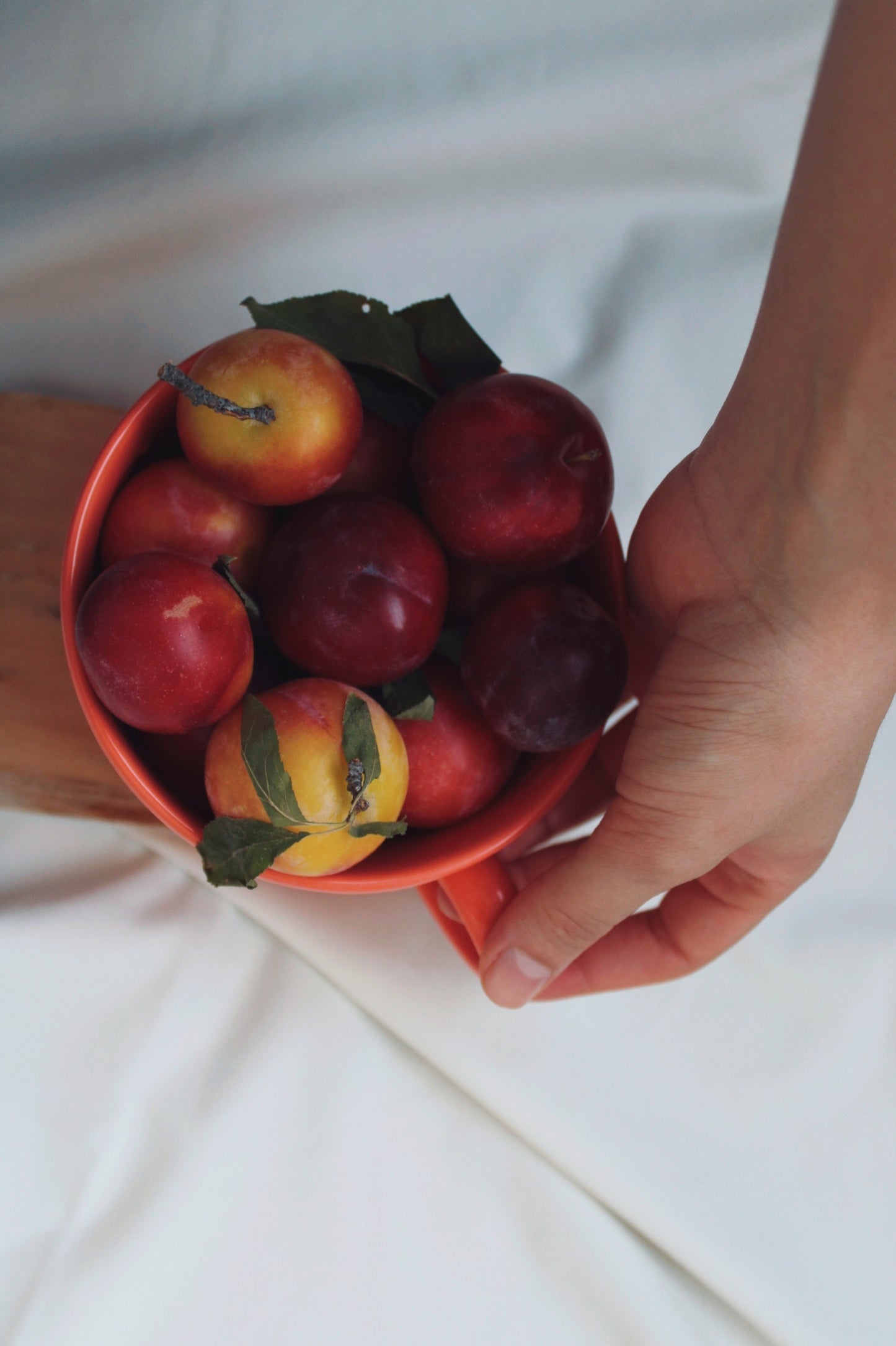 Red Plum (紅李) Candle